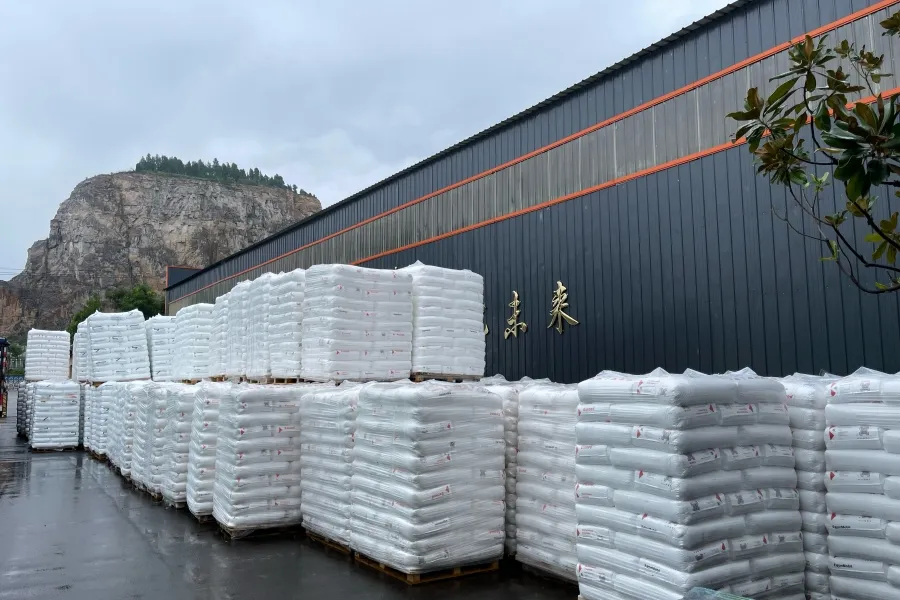 Large-Scale Warehousing